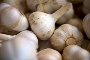 bulbs of garlic - whole and raw