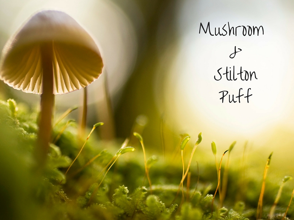 Wild mushrooms on a mossy ground with the title text in the corner
