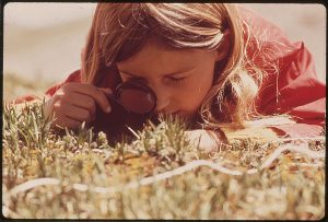 1024px-girl_uses_a_magnifying_glass_to_study_plant_life_in_the_tundra_of_the_rocky_mountains-_the_denver_pta_sponsored_a-_-_nara_-_543740