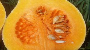 The inside of a butternutsquash