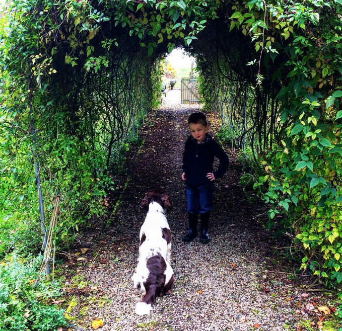 little boy in a leafy tunnel with his dog at the entrance