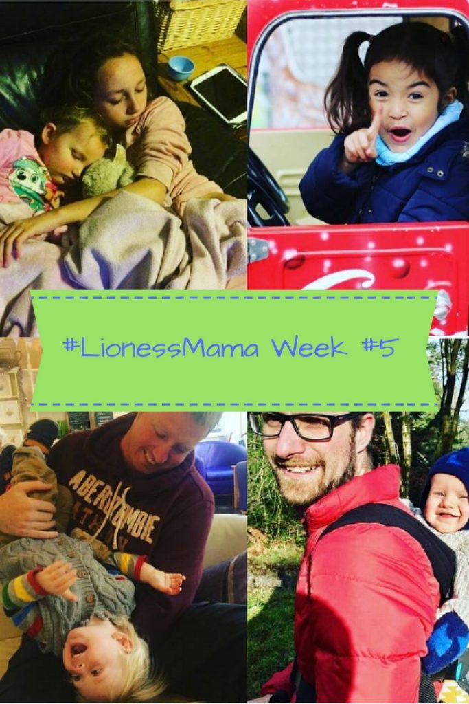 lionessmama-week-5