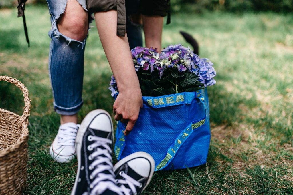a pair of converse on grass behind it a blue ikea bag with flowers poking out the top being picked up by a person in white trainers and ripped jeans
