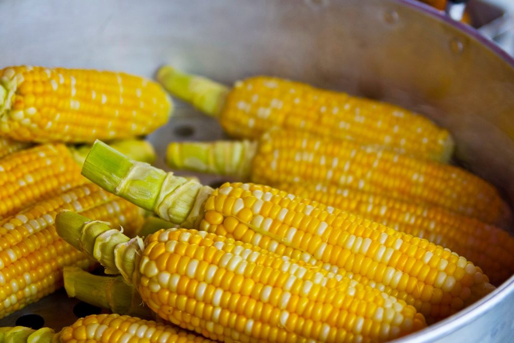 a bowl with several corn on the cobs waiting to be cooked