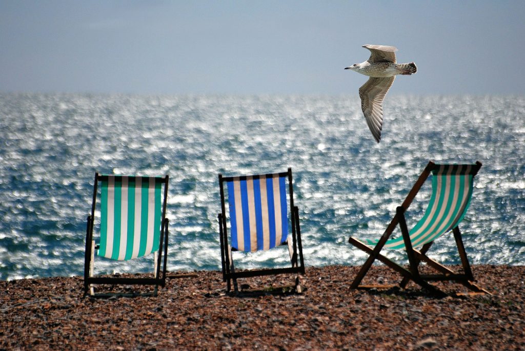 a pebble beach with 3 deck chairs on and glistening sea with a seagull flying past