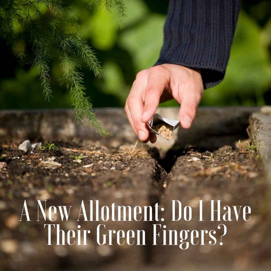 a new allotment test over earth and seeds